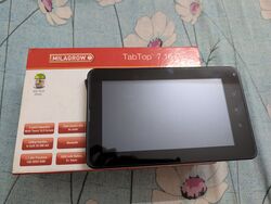 Softwinners Crane A088 Device.jpg